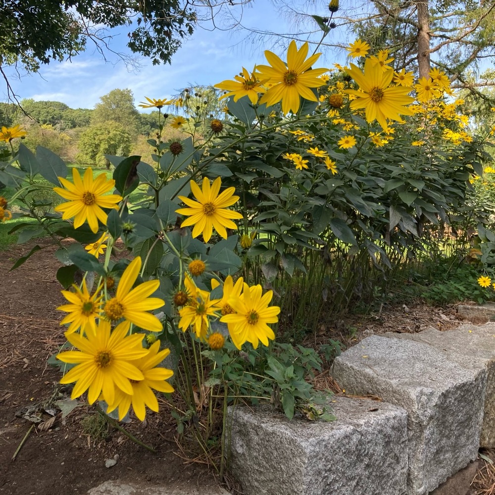Meet your Posher, Judy